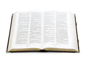 The Ark Bible
